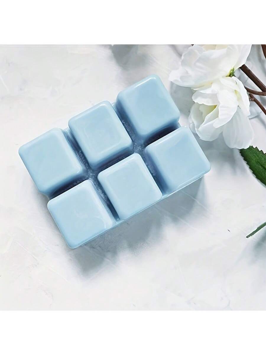 12/24個入り 長方形 6穴 クリアプラスチックモールドト - Candle Making Video のレビューと価格
